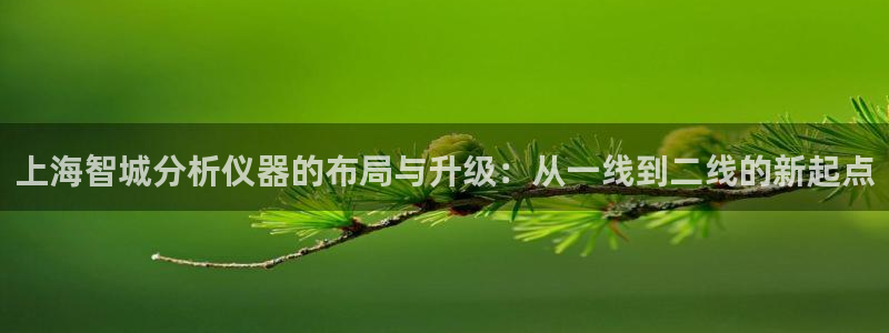 cq9电子直播：上海智城分析仪器的布局与升级：从一线到二线的